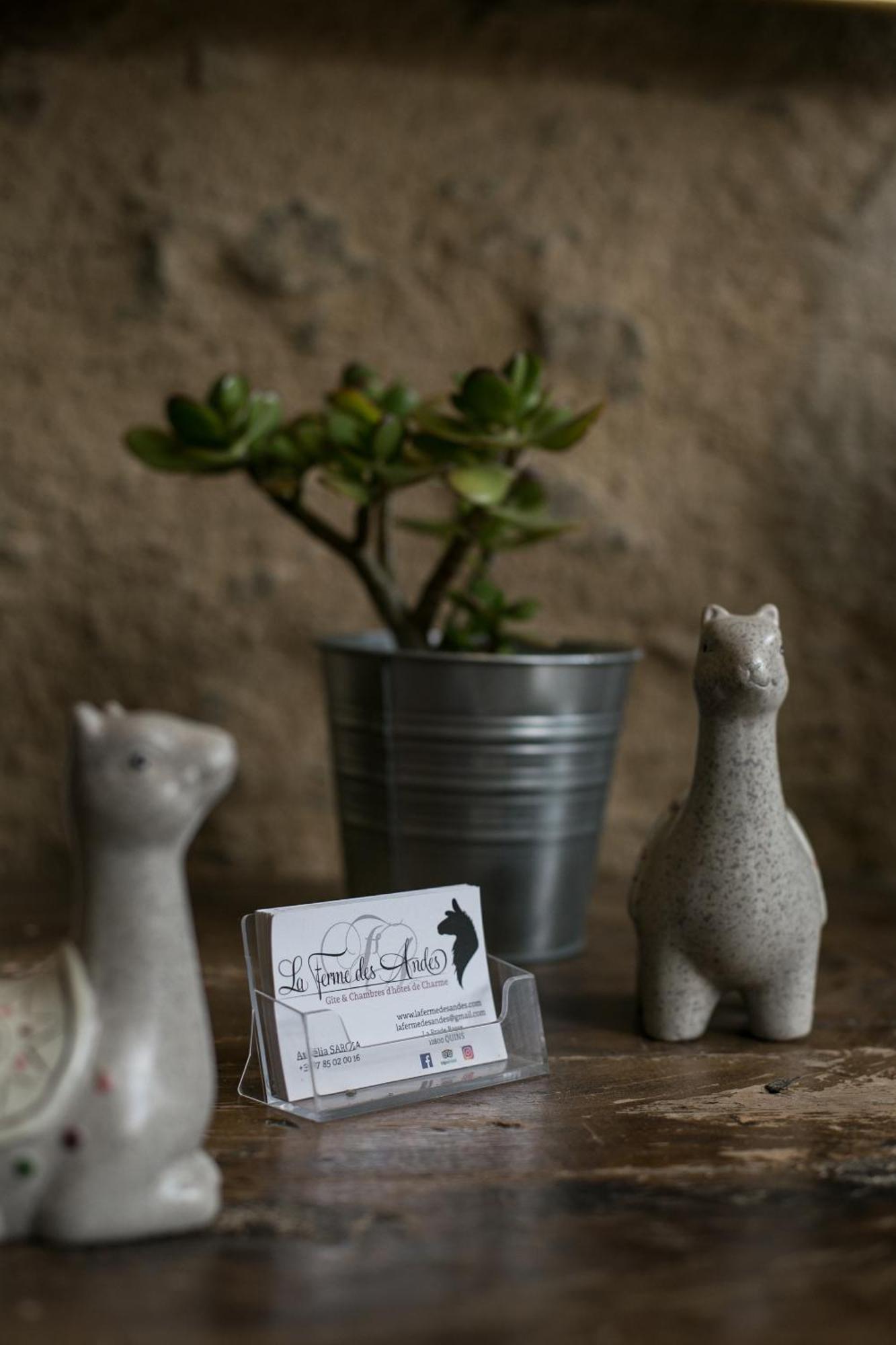 La Ferme Des Andes - Gite L'Atelier Quins 外观 照片