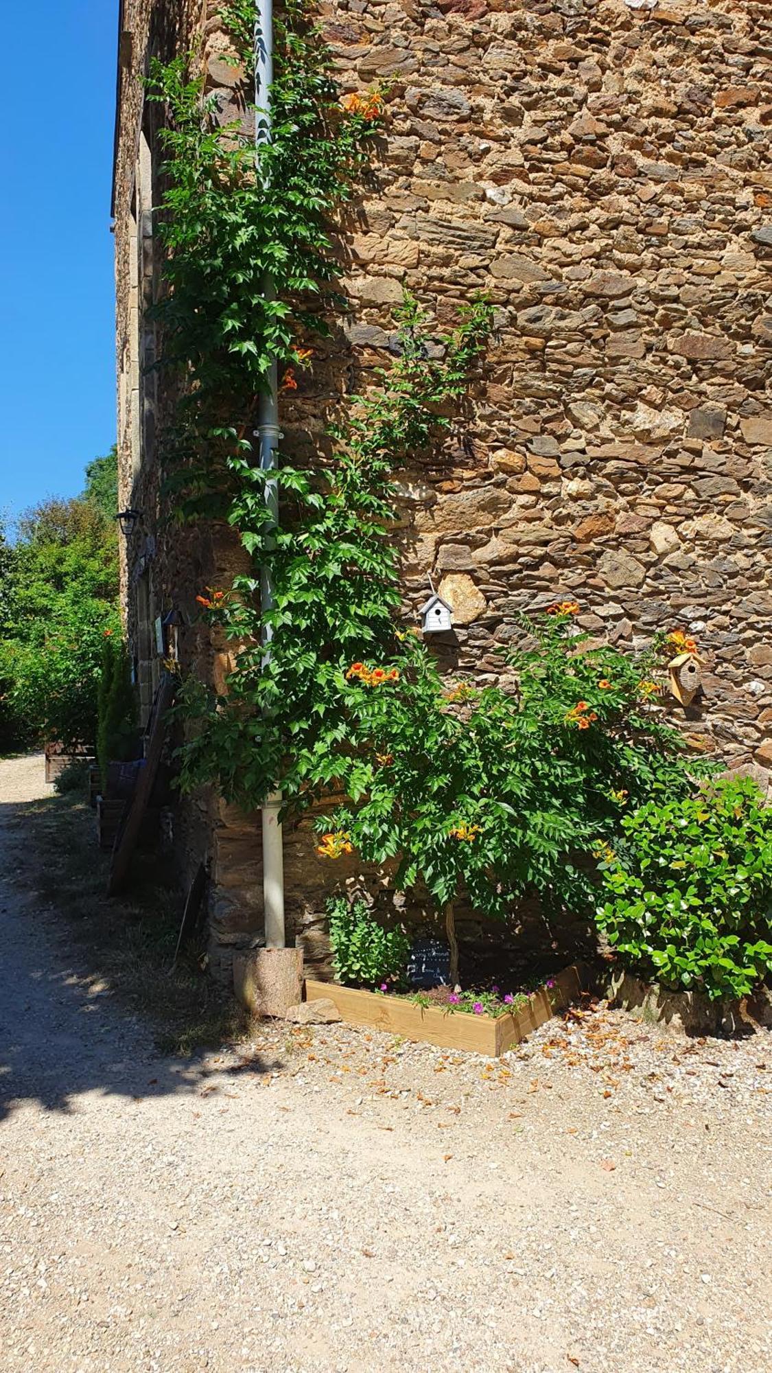 La Ferme Des Andes - Gite L'Atelier Quins 外观 照片
