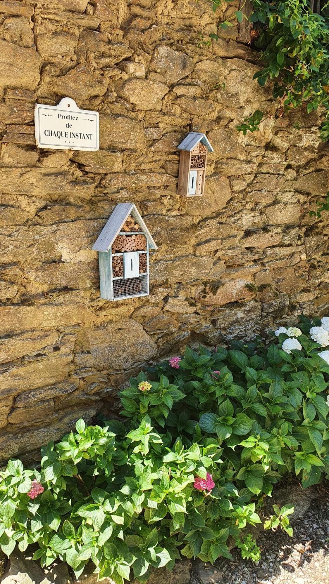 La Ferme Des Andes - Gite L'Atelier Quins 外观 照片