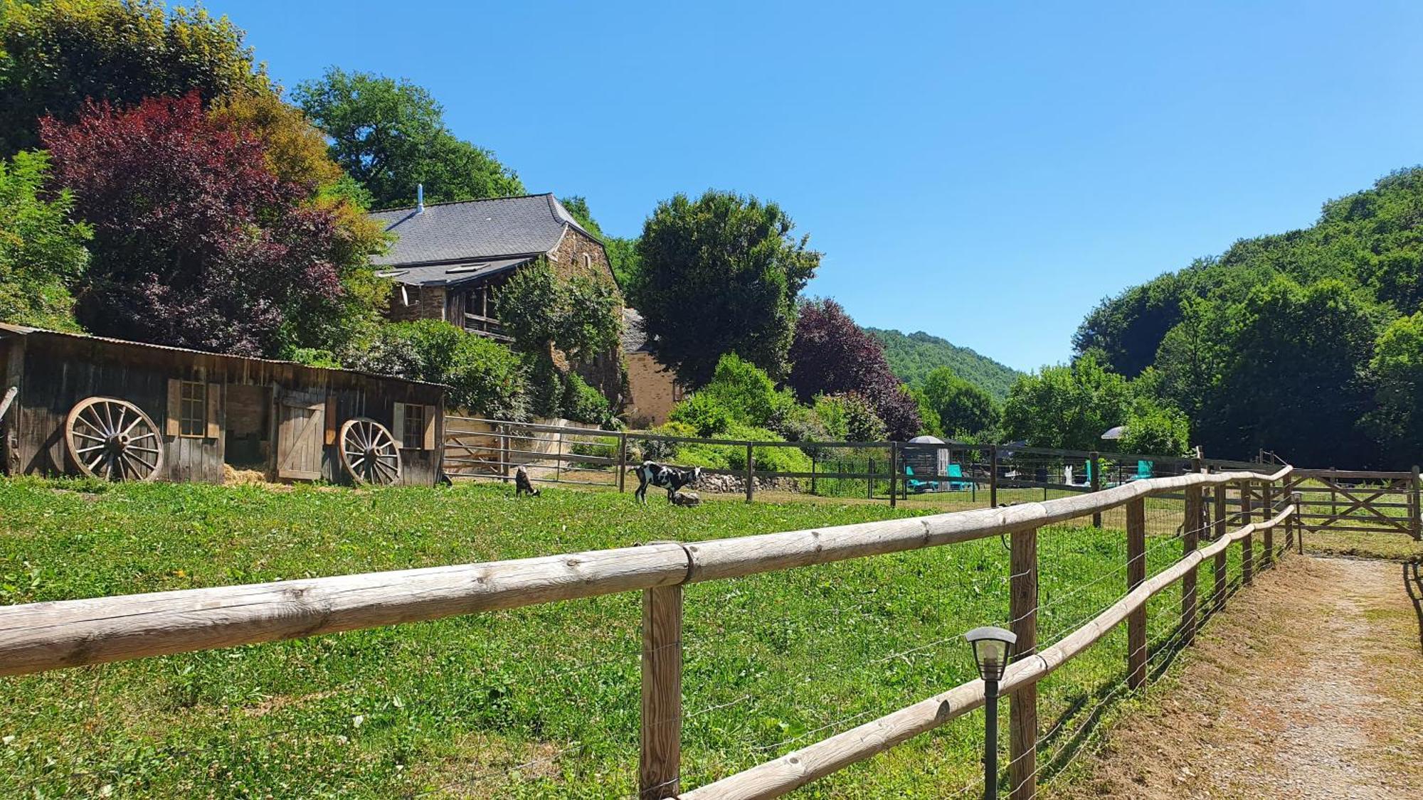 La Ferme Des Andes - Gite L'Atelier Quins 外观 照片
