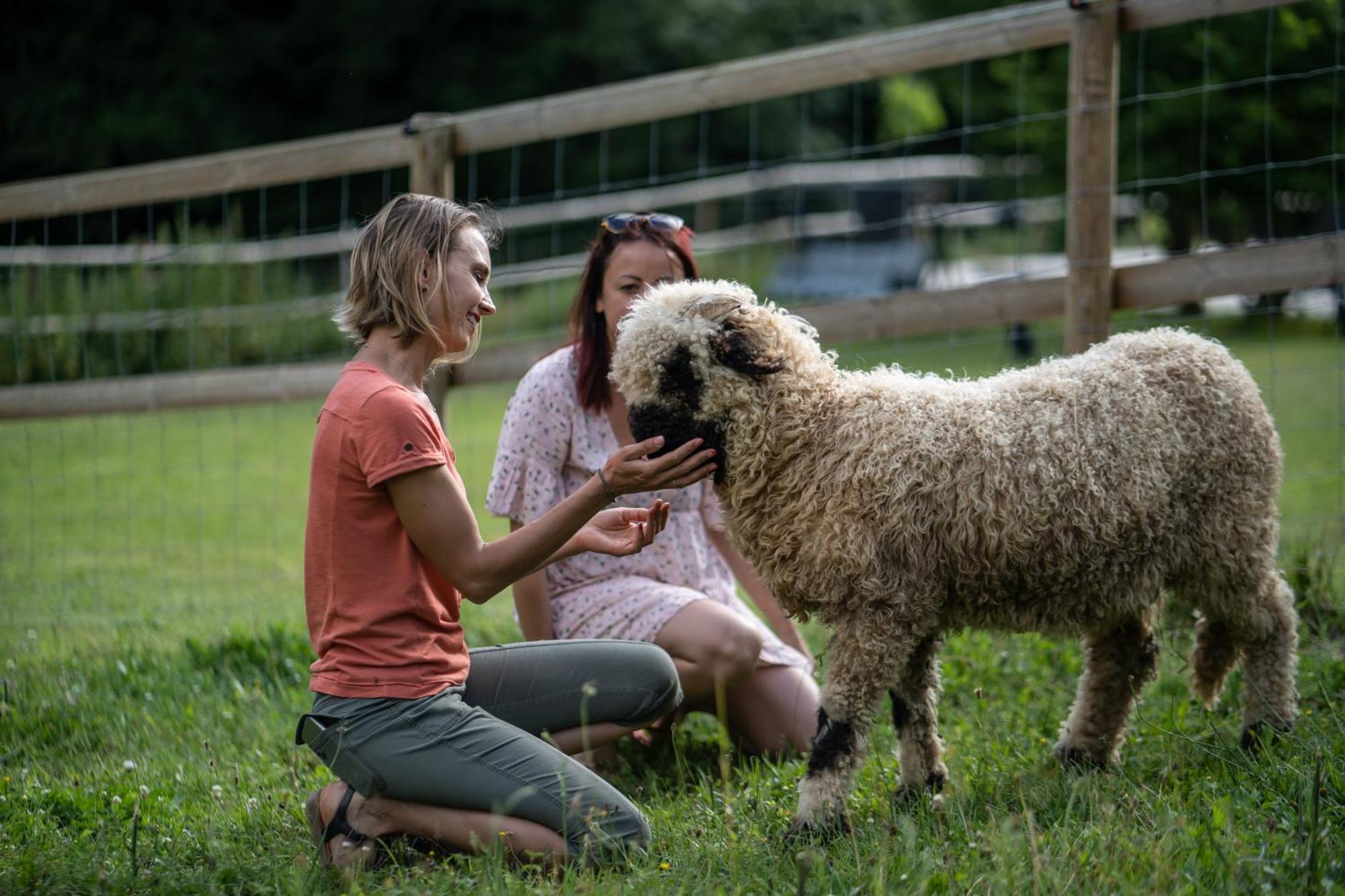 La Ferme Des Andes - Gite L'Atelier Quins 外观 照片