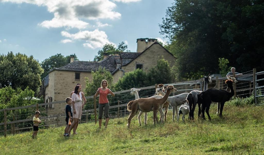 La Ferme Des Andes - Gite L'Atelier Quins 外观 照片
