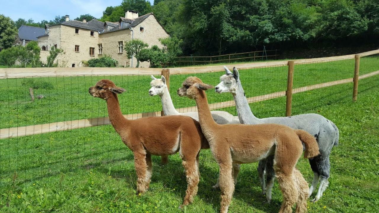 La Ferme Des Andes - Gite L'Atelier Quins 外观 照片
