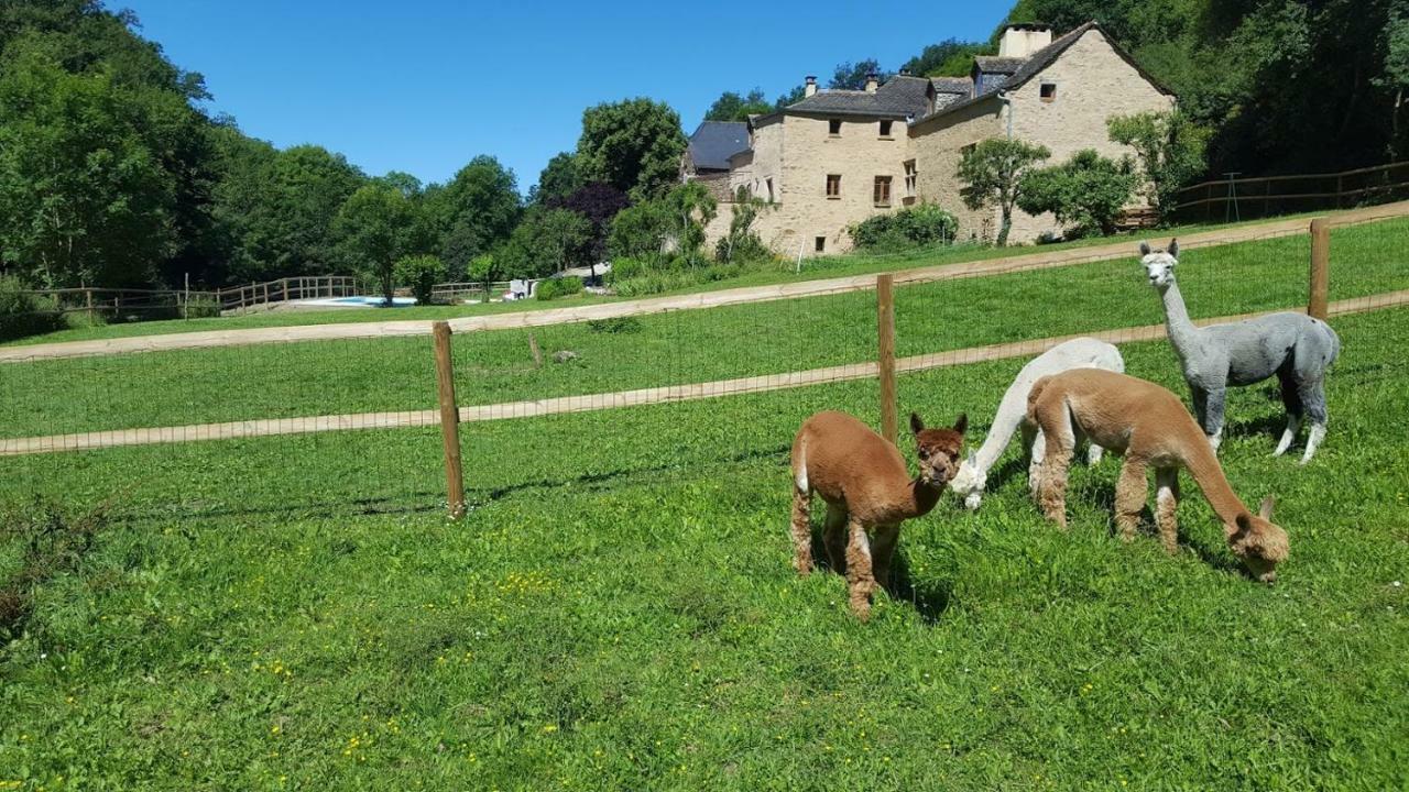 La Ferme Des Andes - Gite L'Atelier Quins 外观 照片