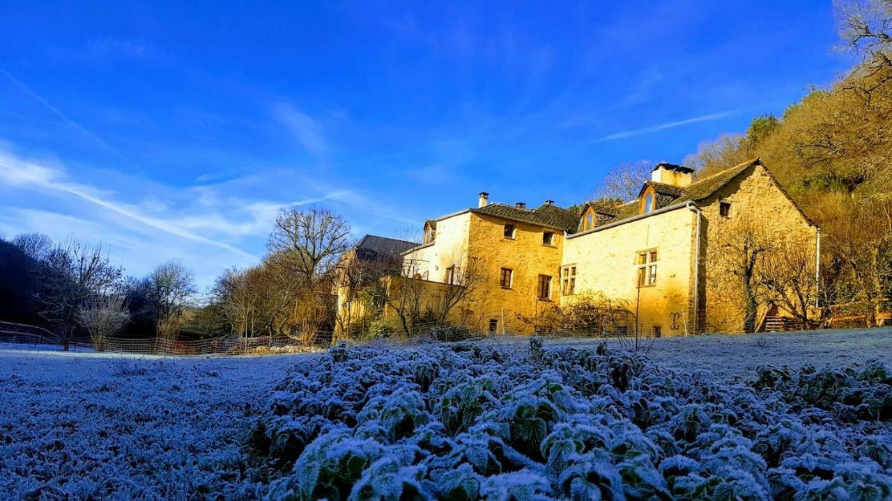 La Ferme Des Andes - Gite L'Atelier Quins 外观 照片