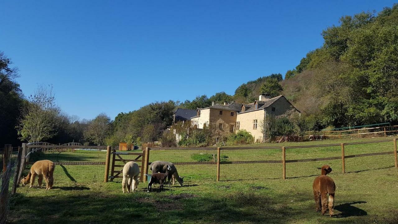 La Ferme Des Andes - Gite L'Atelier Quins 外观 照片